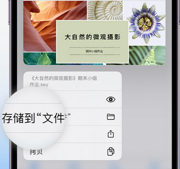 莱芜apple维修中心分享iPhone文件应用中存储和找到下载文件