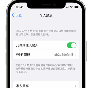 莱芜apple服务站点分享iPhone上个人热点丢失了怎么办 