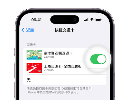 莱芜apple维修点分享iPhone上更换Apple Pay快捷交通卡手绘卡面 