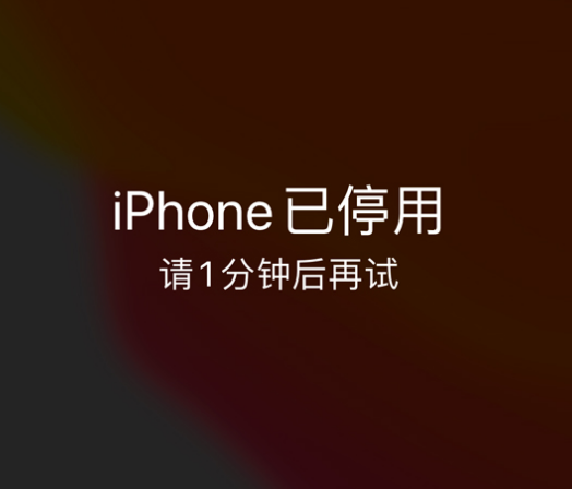 莱芜苹果手机维修分享:iPhone 显示“不可用”或“已停用”怎么办？还能保留数据吗？ 