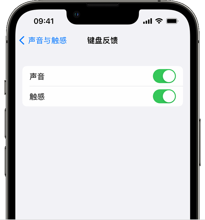 莱芜苹果14维修店分享如何在 iPhone 14 机型中使用触感键盘 