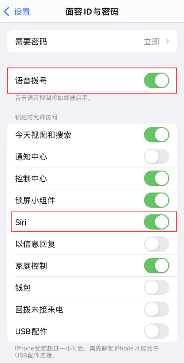 莱芜苹果维修网点分享不解锁 iPhone 的情况下通过 Siri 拨打电话的方法 