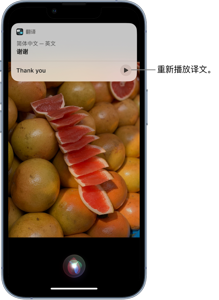 莱芜苹果14维修分享 iPhone 14 机型中使用 Siri：了解 Siri 能帮你做什么 