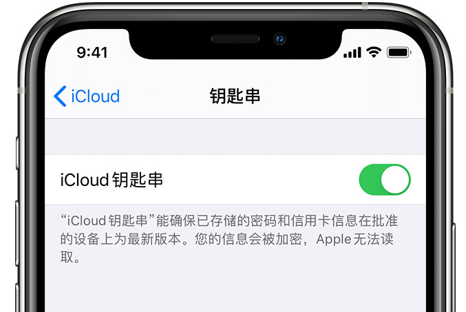 莱芜苹果手机维修分享在 iPhone 上开启 iCloud 钥匙串之后会储存哪些信息 