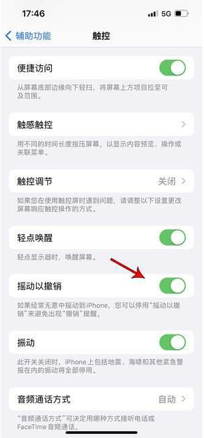 莱芜苹果手机维修分享iPhone手机如何设置摇一摇删除文字 