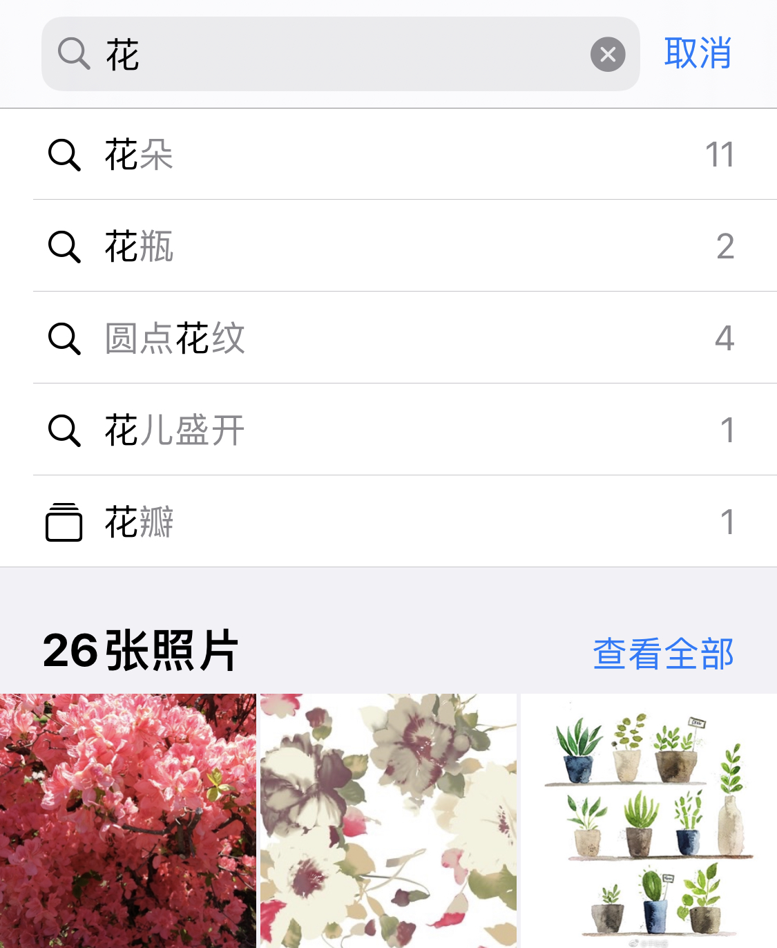 莱芜苹果手机维修分享iPhone 小技巧 