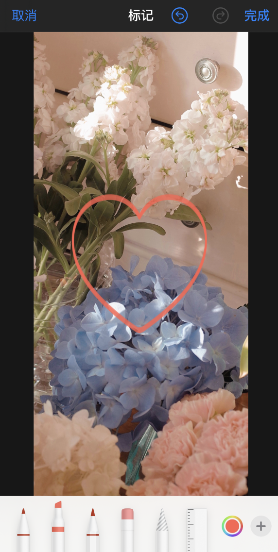 莱芜苹果手机维修分享iPhone 12 如何在照片上涂鸦 