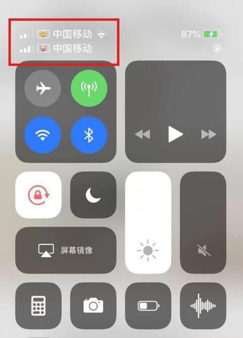 莱芜苹果手机维修分享为 iPhone 12 双卡设置标签 