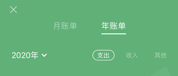 莱芜苹果手机维修分享如何在 iPhone 上查看支付宝和微信年支出账单 